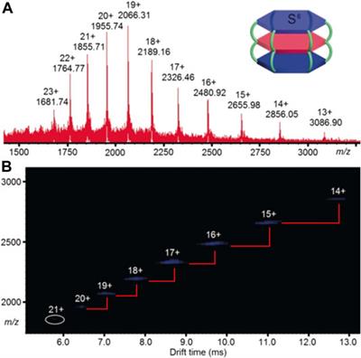 Reaction Monitoring and Structural Characterisation of Coordination Driven Self-Assembled Systems by Ion Mobility-Mass Spectrometry